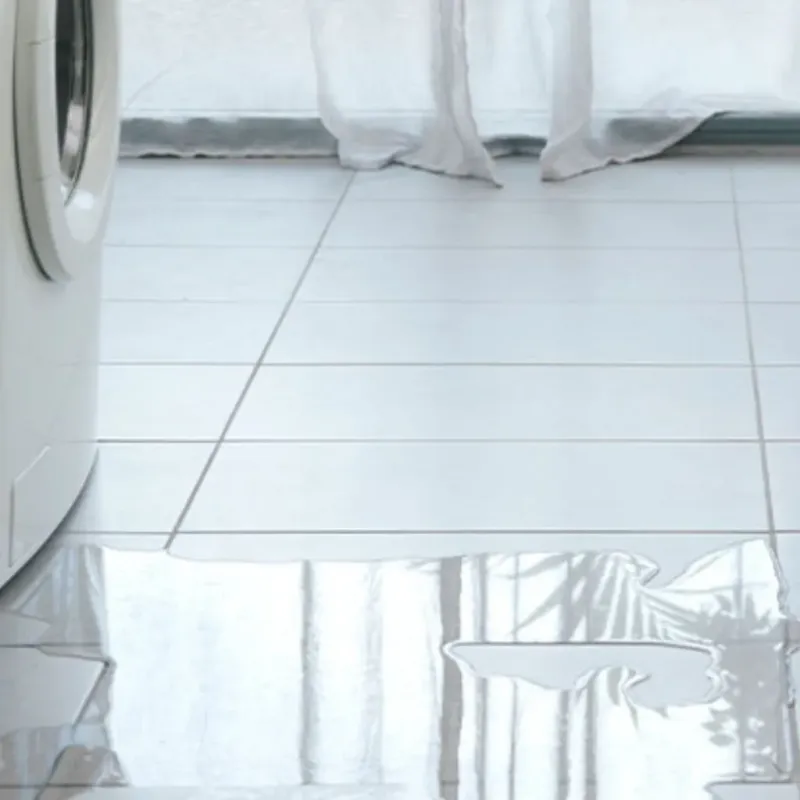 Appliance Leak Cleanup in Hartsville, SC