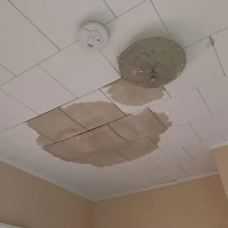 Ceiling Water Damage Repair in Hartsville, SC