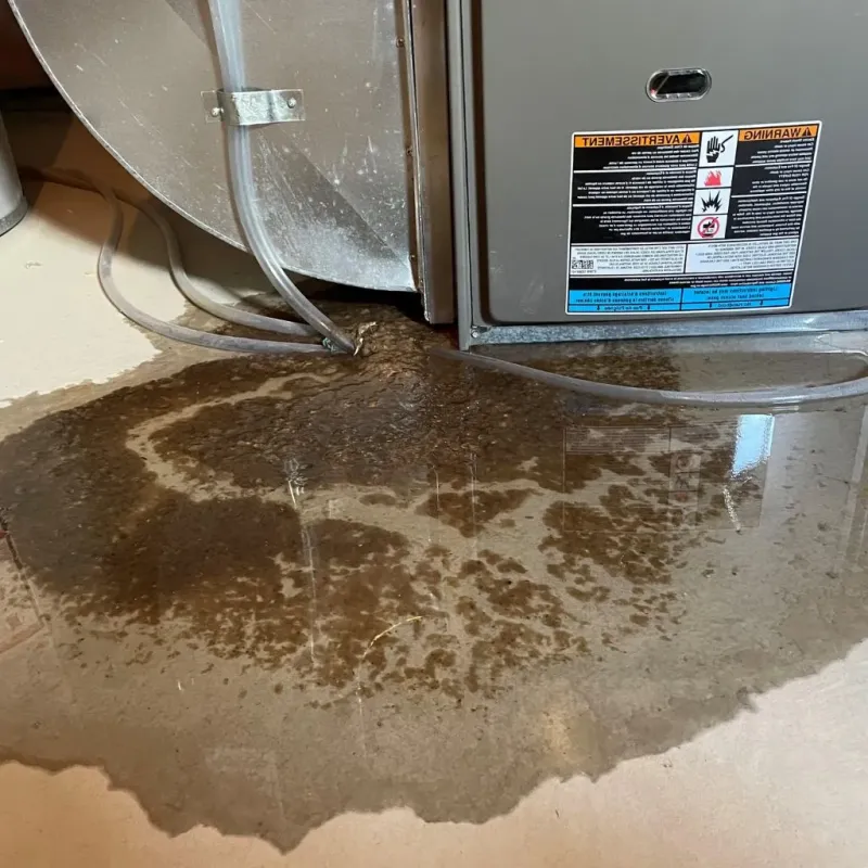 Pipe Burst and Leak Restoration in Hartsville, SC